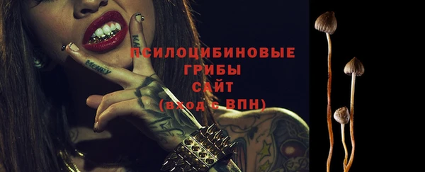 а пвп мука Нея