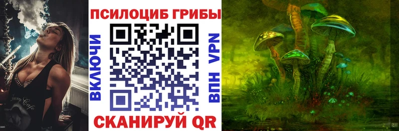 сайты даркнета клад  Сухиничи  Галлюциногенные грибы Psilocybine cubensis 